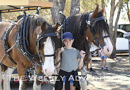 Imara Petschel meets clydesdale horses at the Wimmera Machinery Field Days.