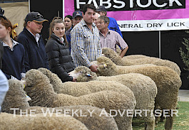 Pat Millear, Kate Millear and Jack McRae at the 2023 Wimmera Merino Sheep Show.