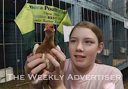 Olivia Limburg with her best bantam hardfellow at Wimmera Poultry Club Championship Poultry Show at Horsham Showgrounds.