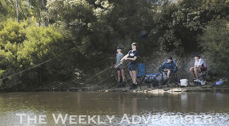 Horsham Fishing Competition was a bit quiet when it came to