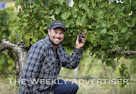 POTENTIAL: Montara Wines general manager James Stapleton is hoping warm February weather will ensure a good grape harvest this season. Picture: PAUL CARRACHER