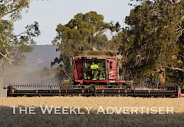 FINAL STRETCH: Alex Rees harvests wheat at his family farm in Telangatuk East as the season ended across the Wimmera earlier this month. Picture:  KAREN REES