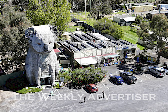 Giant Koala at Daswells Bridge.
