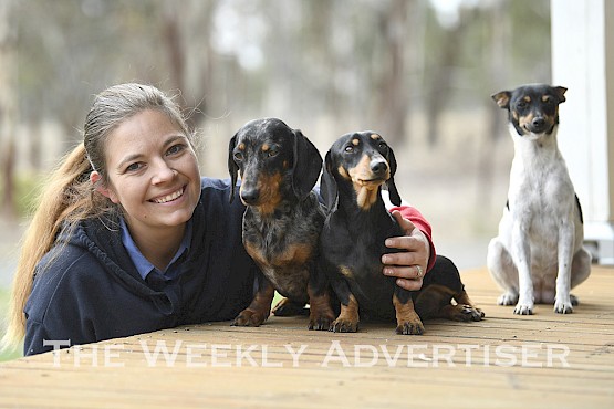 DOUBLE DACKEL DAY: Quantong dachshund owner Sarah Hallam is among dachshund enthusiasts preparing for Day of the Dackel, an international celebration for dachshunds at Edenhope on June 19 and 20. She is pictured with her dachshund duo Bubble, left, and Ellie, while her fox terrier Reble appears miffed at all the fuss.  Picture: PAUL CARRACHER