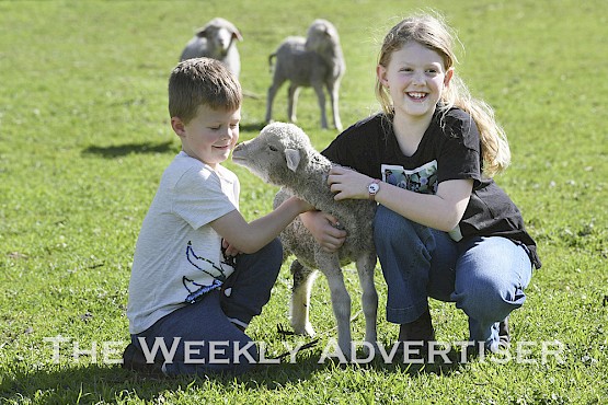 Flourishing farm life: A strong agricultural sector and good seasonal conditions across the Wimmera, Mallee and Western District are providing resilience against the socio-economic impact of the COVID-19 pandemic. Pictured enjoying life on their Horsham district farm are Eagle siblings Henry, 6, and Penny, 9, with a pet lamb. Picture: PAUL CARRACHER
