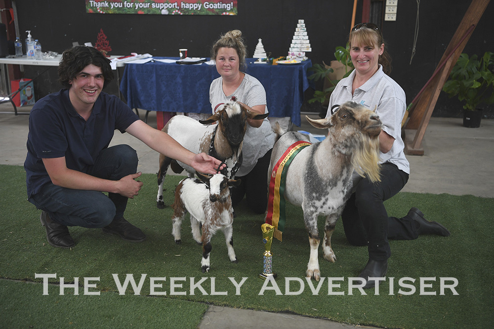 Miniature Goats Australia inaugural Christmas show at Horsham Showground. Charlie Poustie with the best-in-show kid, Ashlea Bruton with her champion junior, and Anne Looker with her champion buck and grand champion.